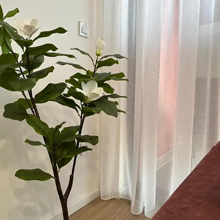 Apartment Ilidza Sky *